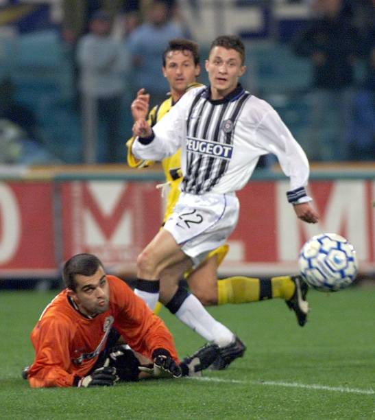 青年培养体 青年培养体