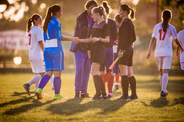 家庭的样本 家庭的样本